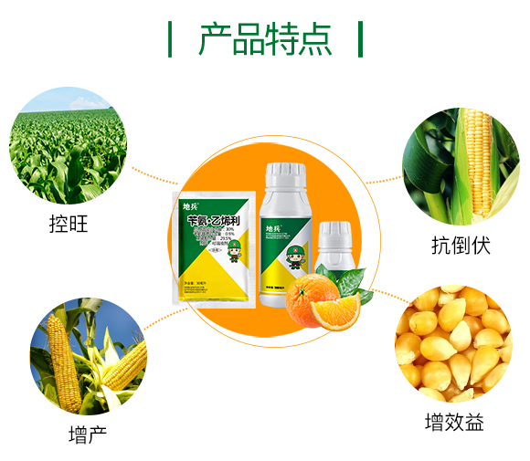 6381311109591630854303146.jpg 6381311109591630854303146.jpg