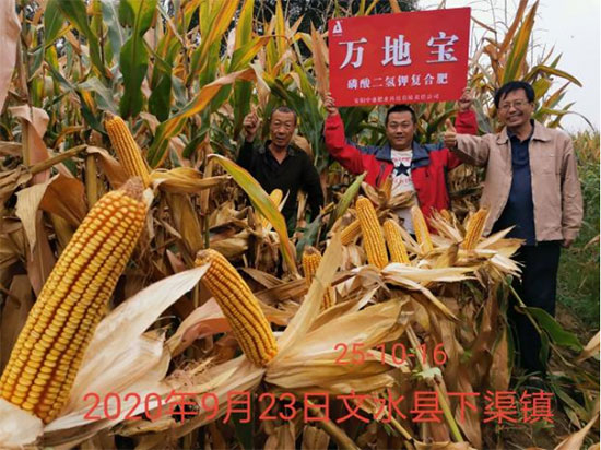 鏈爣棰?3.jpg 鏈爣棰?3.jpg