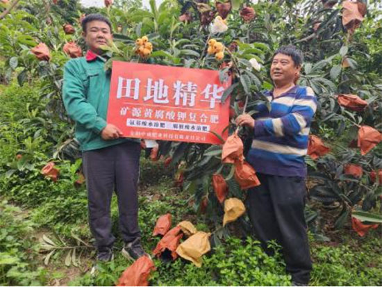 鏈爣棰?2.jpg 鏈爣棰?2.jpg