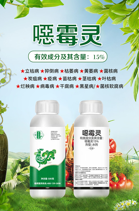 鍗椾含閲戝悏涔嬫槦鍐滀笟縐戞妧鏈夐檺鍏徃2_02.jpg 鍗椾含閲戝悏涔嬫槦鍐滀笟縐戞妧鏈夐檺鍏徃2_02.jpg