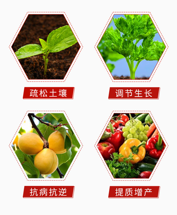 鑾炵編路鐖嗘牴-浣崇瀹滃啘_05.jpg 鑾炵編路鐖嗘牴-浣崇瀹滃啘_05.jpg