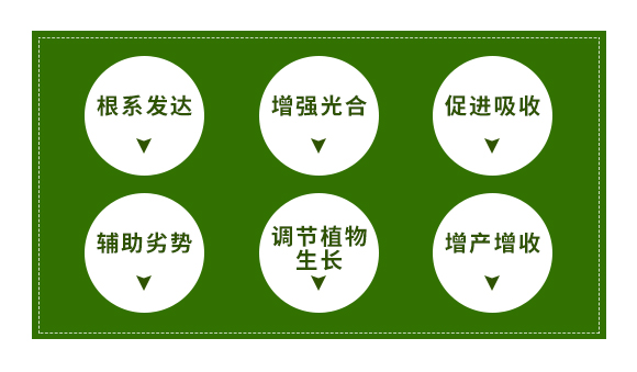 鑱婂煄璇哄皵鐢熺墿縐戞妧鏈夐檺鍏徃_02.jpg 鑱婂煄璇哄皵鐢熺墿縐戞妧鏈夐檺鍏徃_02.jpg