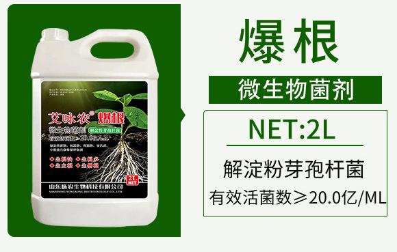 艾詠農(nóng)-佳禾宜農(nóng)_03.jpg 艾詠農(nóng)-佳禾宜農(nóng)_03.jpg