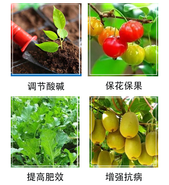 豆磷脂微生物菌劑-中藍(lán)農(nóng)業(yè)_05.jpg 豆磷脂微生物菌劑-中藍(lán)農(nóng)業(yè)_05.jpg