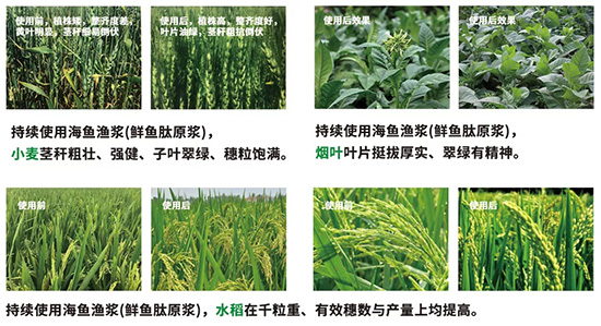 19.webp.jpg 19.webp.jpg