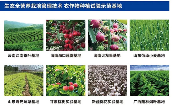 20.webp.jpg 20.webp.jpg