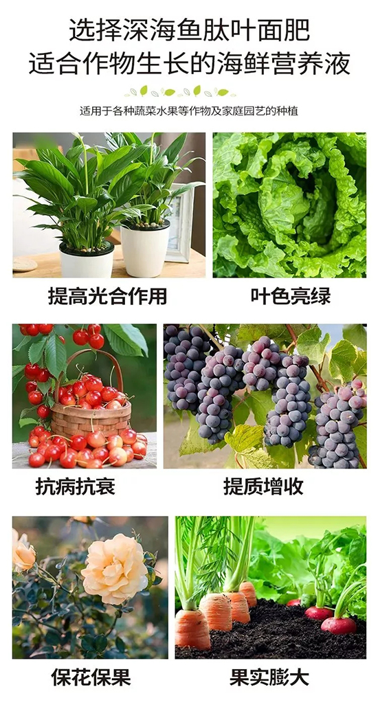 9.webp.jpg 9.webp.jpg