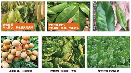 11.webp.jpg 11.webp.jpg