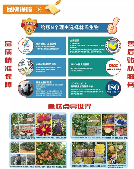 12.webp.jpg 12.webp.jpg