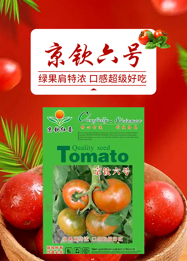 京钦六号-西红柿种�?京钦�U�喜_01.jpg