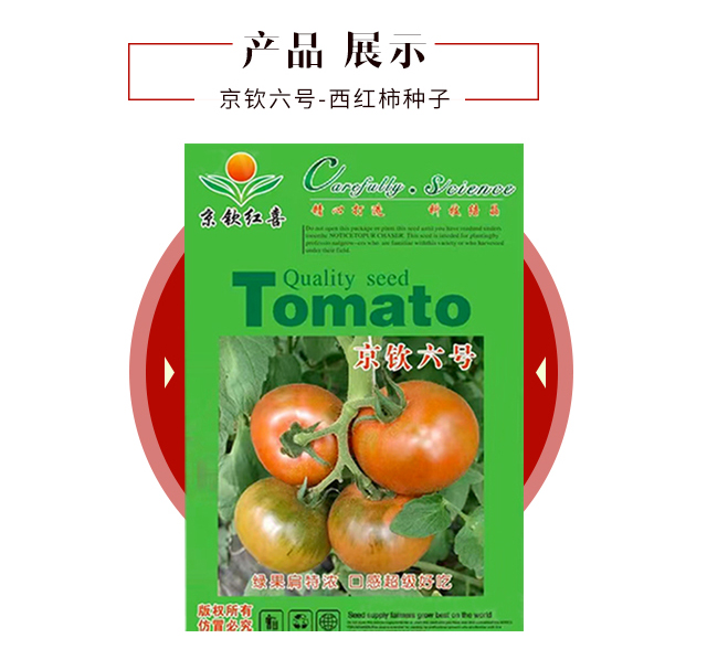 京钦六号-西红柿种�?京钦�U�喜_03.jpg