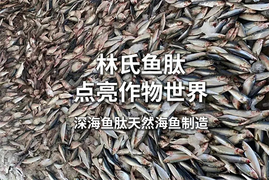 鏈爣棰?1.jpg 鏈爣棰?1.jpg