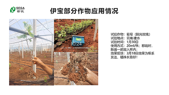 涓栦匠浼婂疂浜у搧綆浠?-鍏徃浠嬬粛璁哥ゥ鍧34.jpg 涓栦匠浼婂疂浜у搧綆浠?-鍏徃浠嬬粛璁哥ゥ鍧34.jpg