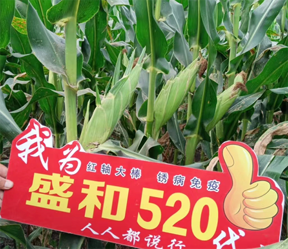 寰俊鍥劇墖_20241113141723.png 寰俊鍥劇墖_20241113141723.png