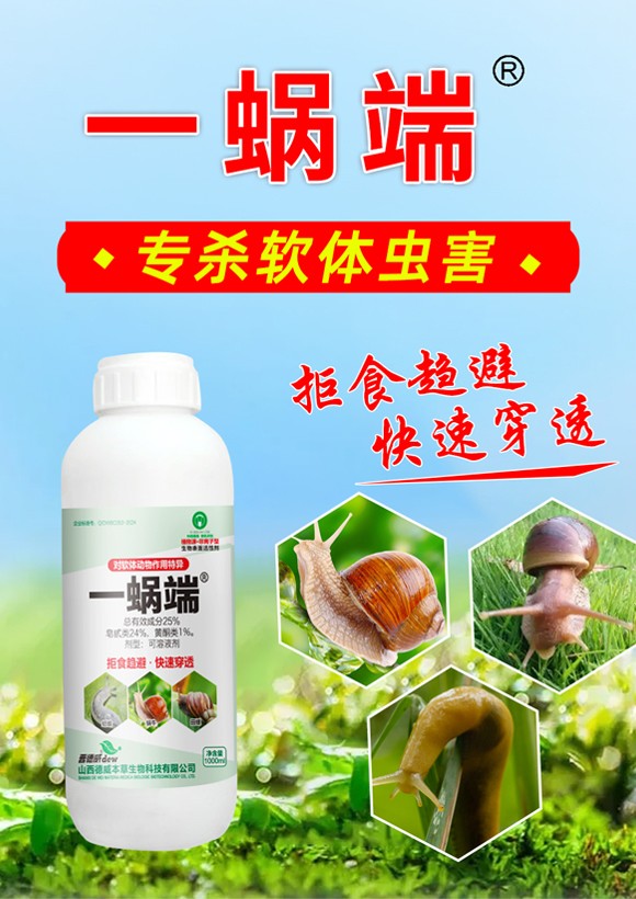 涓铚楃錛堝杞綋鍔ㄧ墿浣滅敤鐗瑰紓錛?寰峰▉鏈崏_01.jpg 涓铚楃錛堝杞綋鍔ㄧ墿浣滅敤鐗瑰紓錛?寰峰▉鏈崏_01.jpg