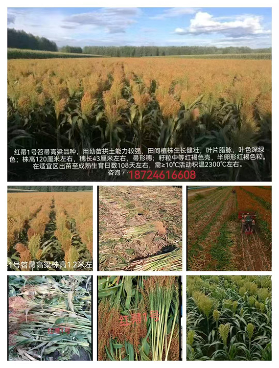 寰俊鍥劇墖_20250218102118.jpg 寰俊鍥劇墖_20250218102118.jpg