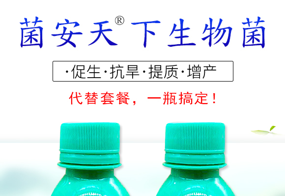 6373127035618845225762257.jpg 6373127035618845225762257.jpg