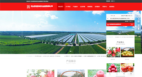 企業(yè)網(wǎng)站、程序軟件App解決方案