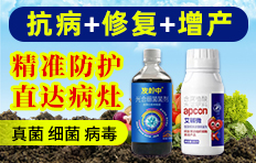 ���ϰ������ﱣ�o(h��)���޹�˾