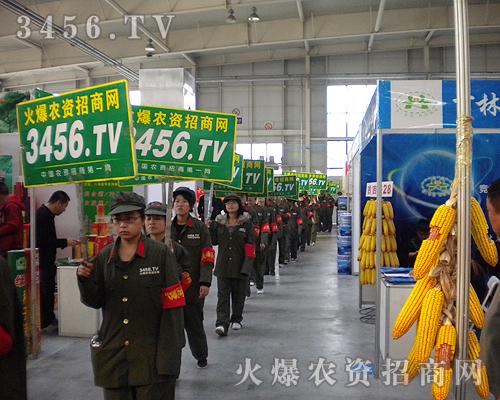 ���r(n��ng)�Y���̾W(w��ng)�������(du��)���R��һ