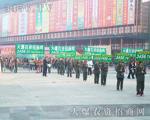 �҂�����(zh��n)2011����ֲ����(hu��)