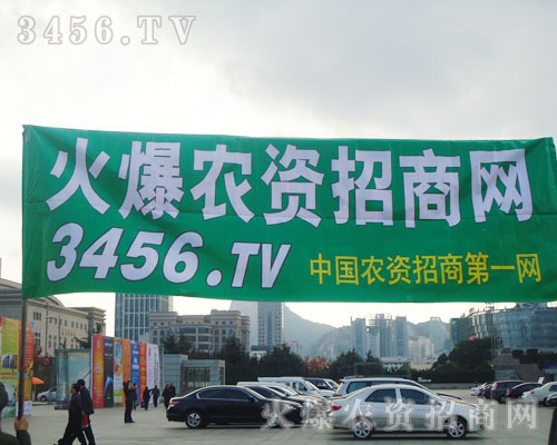 一抹綠色再一次飄過會場