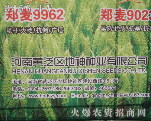 �����S���^(q��)����N�I(y��)