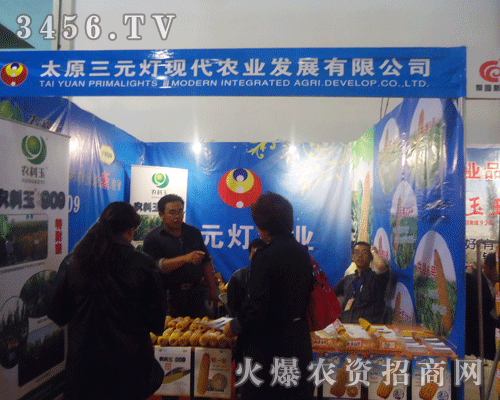 ��Ԫ���F(xi��n)���r�I(y��)�l(f��)չ���޹�˾