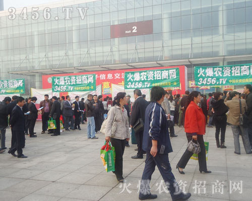 �P(y��ng)�����ŵ��L(f��ng)����չʾ�ഺ���L(f��ng)��