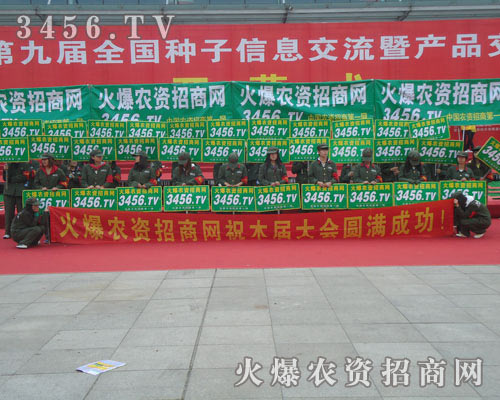 ����Цӭǰ·