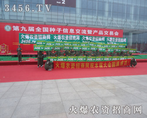 �҂��ɹ��Č��V���N���M��������