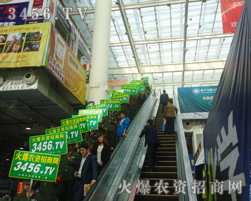 �ǹɾG���ǻ��ˈ��������