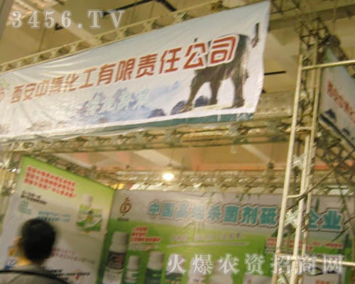 �����в�����