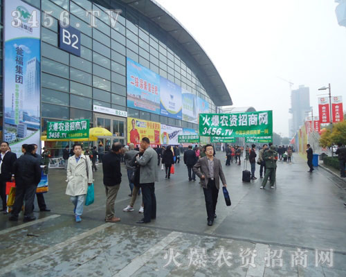 ֻ��Ŭ��ƴ�������ܵõ���˵ĳɿ���