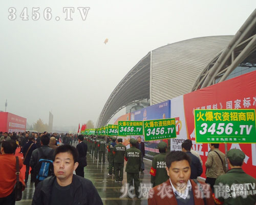 ����꠼������� ��؞����������