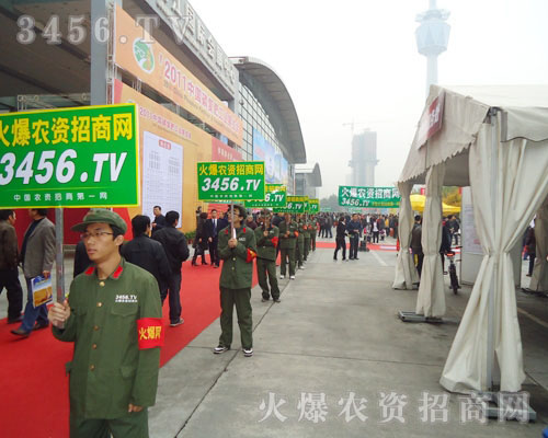 �𱬾W(w��ng)�ď�(qi��ng)�������_��̤푣�