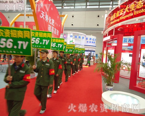 �A�ڊ^�����A�ڌ�(sh��)��