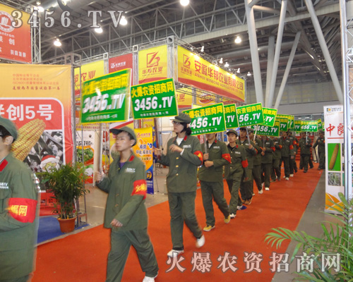 擁有嚴(yán)格執(zhí)行力的火爆人