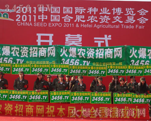 ���Ͱ���������