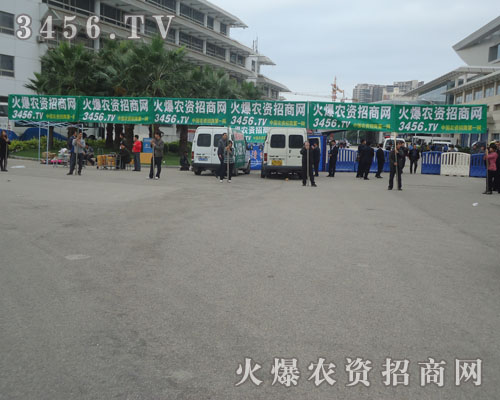 ���M����(zh��n)��·�������r(n��ng)�Y���̾W(w��ng)���(du��)���˿s���ŗ�