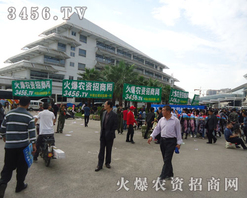 �Ԉ�(zh��)�����^���ľ����L(f��ng)ò��Ⱦ������(hu��)�ˣ�