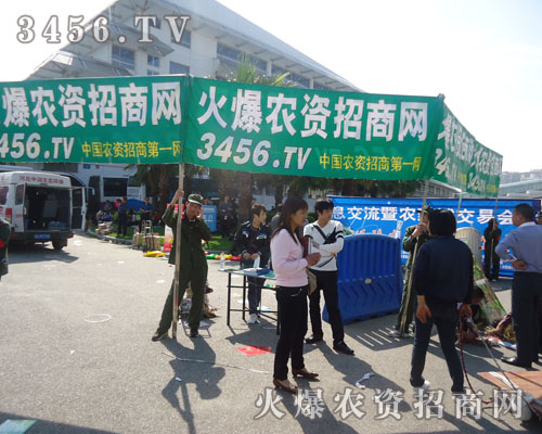 ���R��Ŀ�Ļ������