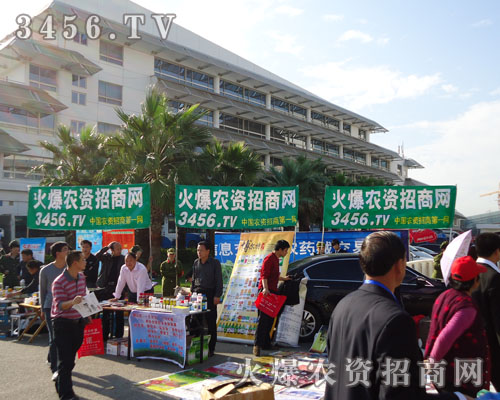 ��(qi��ng)����������(qi��ng)����������r(n��ng)�Y���̾W(w��ng)�Wҫ�r(n��ng)�Y����