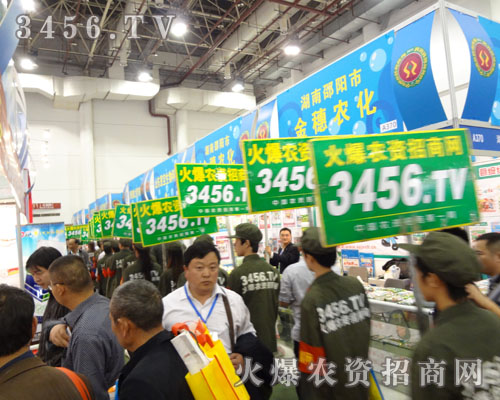 �����Ը߿��ľ��񅢼�ÿһ���r(n��ng)�Y��(hu��)������