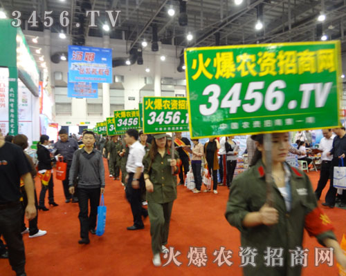 ��ȥ���������������ŗ�ÿ����