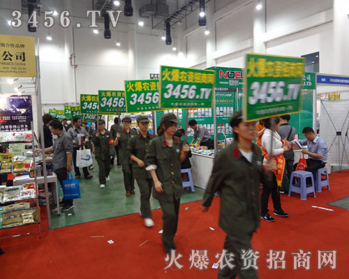 ���������A�ھGɫ