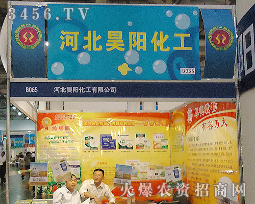 河北昊陽化工有限公司