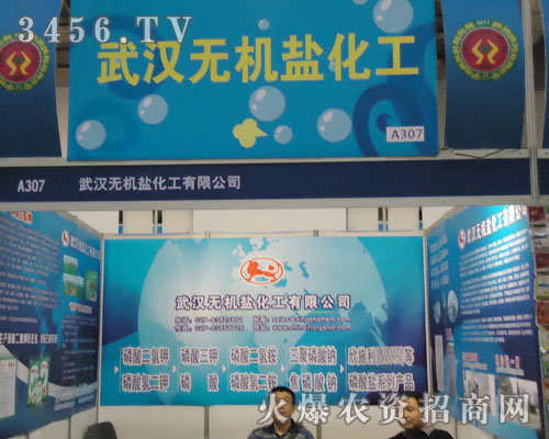 武漢無機鹽化工廠