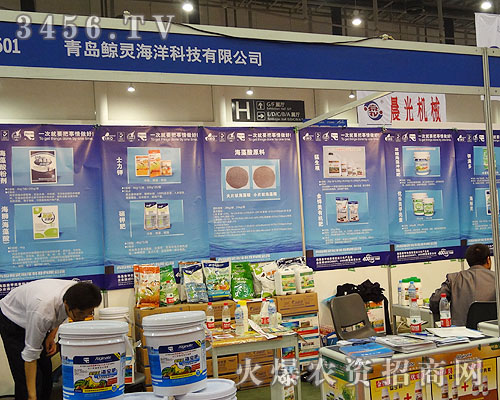 青島鯨靈海洋科技有限公司