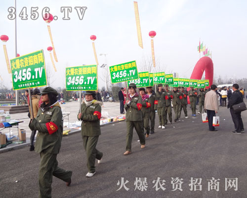 �󏊵�������͸����Զ�